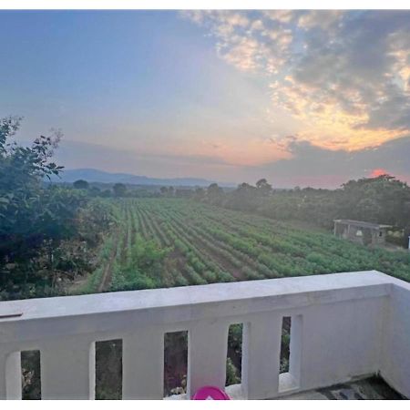 Hari Homestay, Garudeshwar Exteriér fotografie